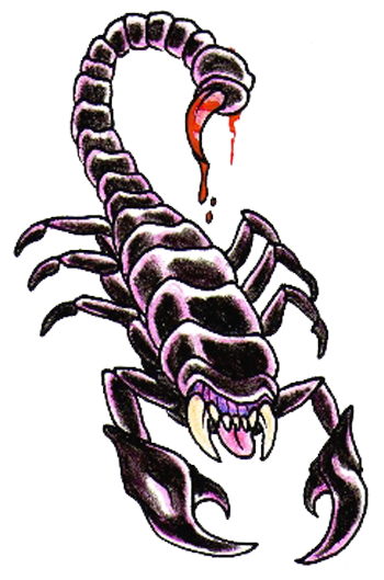 Scorpion Tattoos Png Clipart Png Image - Scorpion, Transparent background PNG HD thumbnail