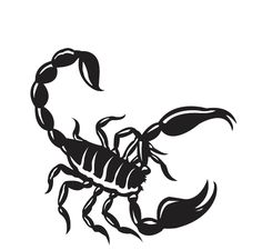 Scorpion Black Tattoo Sample 3.png (659×630) - Scorpion Tattoos, Transparent background PNG HD thumbnail