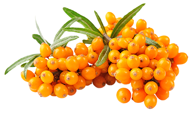 A Velvety, Smooth Tasting Jam Is The Perfect Addition To Porridges, Pastry, Pancakes, Yoghurts And Desserts. Yearning For Something Special? - Sea Buckthorn, Transparent background PNG HD thumbnail