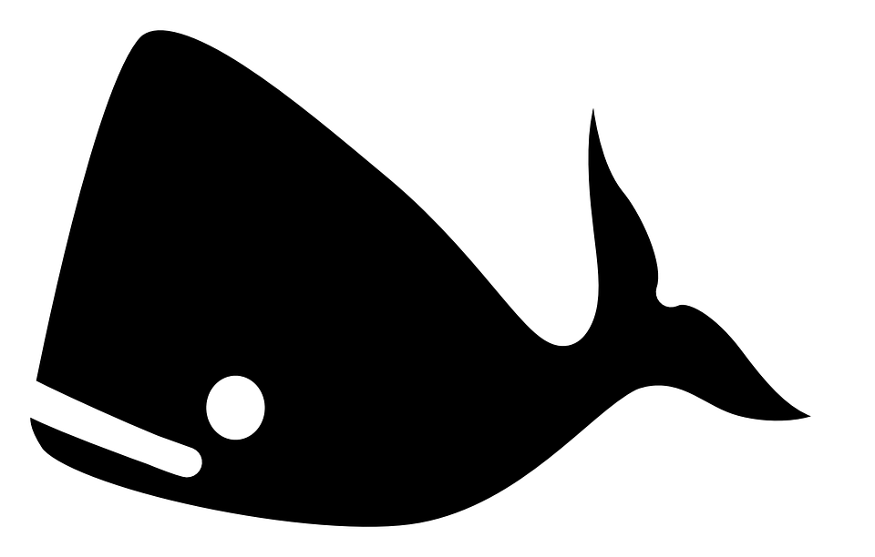 Balina Balık Hayvan Ocean Siyah Siluet Sea Life - Sea Life Black And White, Transparent background PNG HD thumbnail
