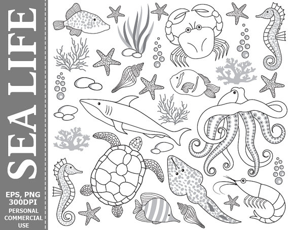 Digital Sea Life Clip Art   Underwater, Fish, Crab, Octopus, Black, White, Shark Clip Art From Thecreativemill On Etsy Studio - Sea Life Black And White, Transparent background PNG HD thumbnail