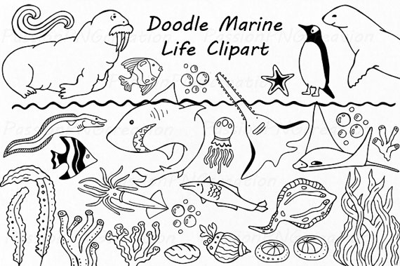 Doodle Marine Life Clipart, Sea Life Clip Art, Ocean Life, Png, Eps, Fish, Vector, Under The Sea, For Personal And Commercial Use - Sea Life Black And White, Transparent background PNG HD thumbnail