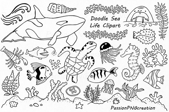 Doodle Marine Life Clipart, Sea Life Clip Art, Ocean Life, Png, Eps, Fish, Vector, Under The Sea, For Personal And Commercial Use From Passionpngcreation On Hdpng.com  - Sea Life Black And White, Transparent background PNG HD thumbnail
