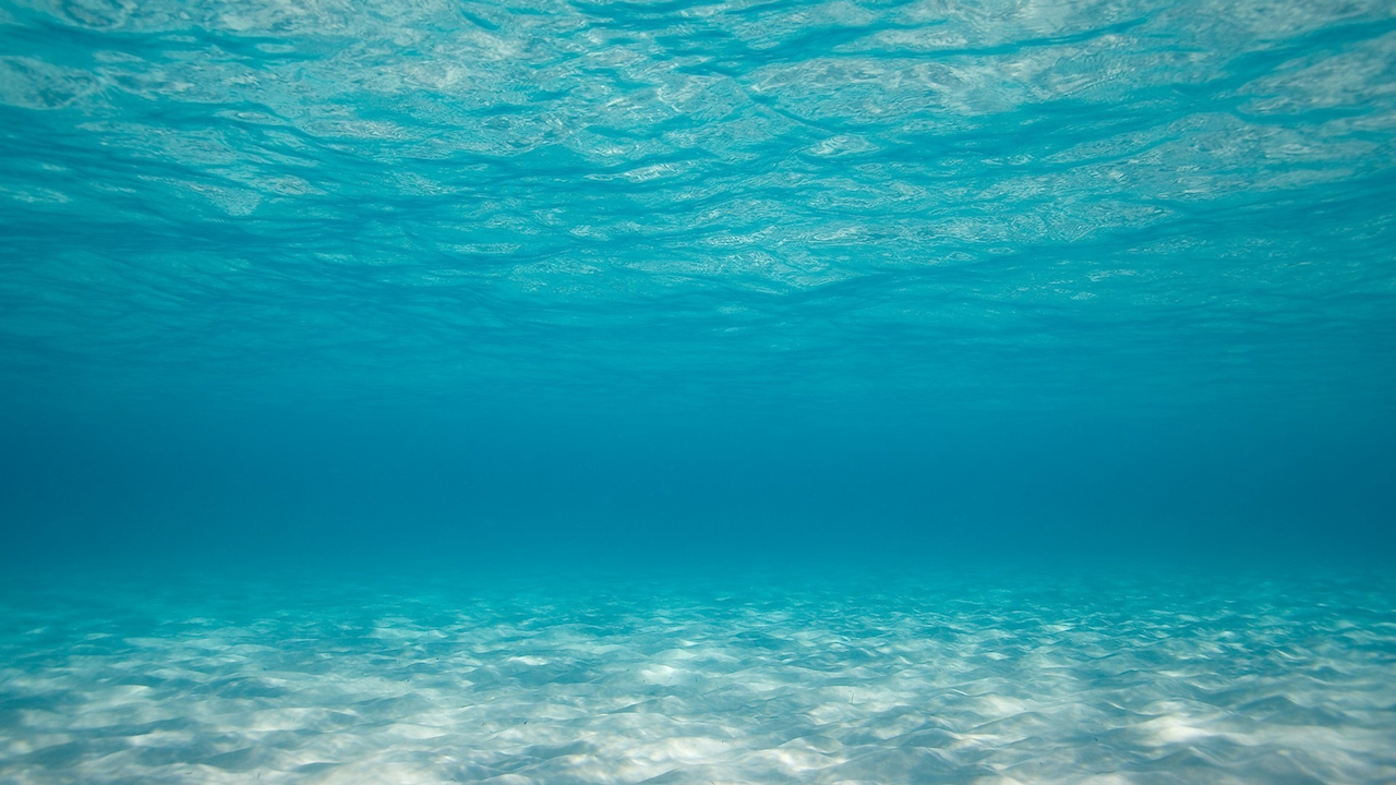 Ocean Floor Background.png - Sea, Transparent background PNG HD thumbnail