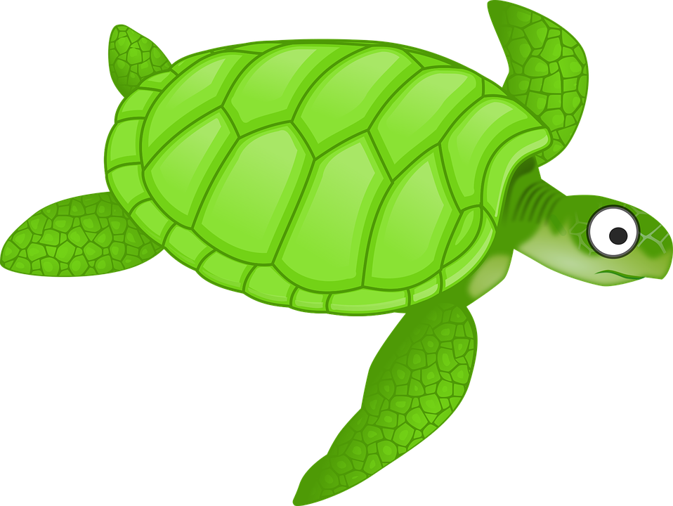 Cartoon Green Sea Turtle - Sea Turtle Cartoon, Transparent background PNG HD thumbnail