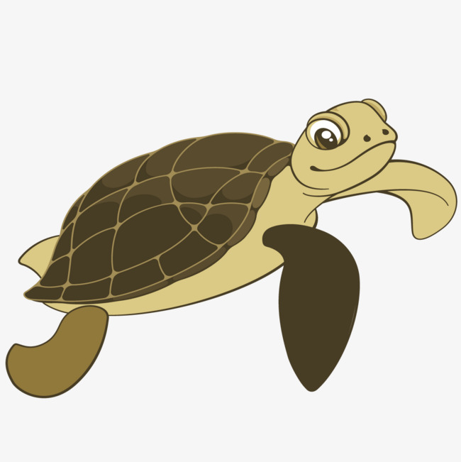 Cartoon Turtle, Sea Turtle, Cartoon, Tortoise Png And Vector - Sea Turtle Cartoon, Transparent background PNG HD thumbnail
