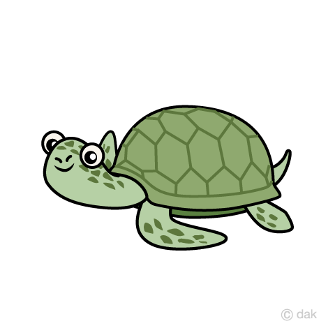 Sea Turtles Swim - Sea Turtle Cartoon, Transparent background PNG HD thumbnail