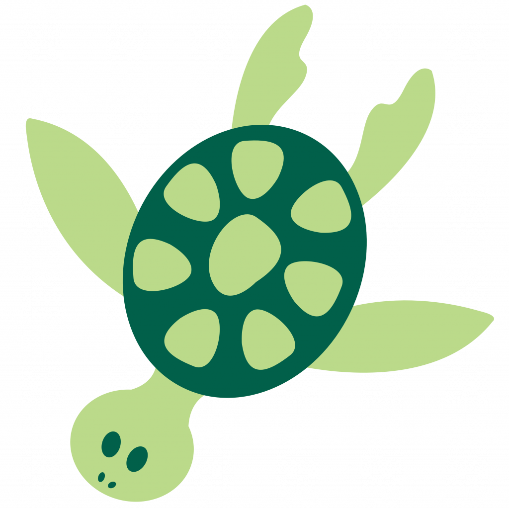 Turtles How To Draw A Cartoon Sea Turtle Animals Fun2Draw - Sea Turtle Cartoon, Transparent background PNG HD thumbnail