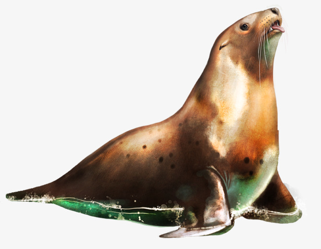 Hd Fidelity Seals, Seal, Sea Lions, Animal Png And Psd - Seal Animal, Transparent background PNG HD thumbnail
