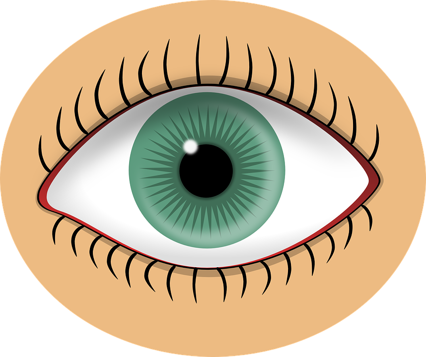 Eye, Green, Pupil, Human, Sight, Part, Body, Sense - Sense Of Sight, Transparent background PNG HD thumbnail