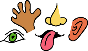 five senses preschool theme c