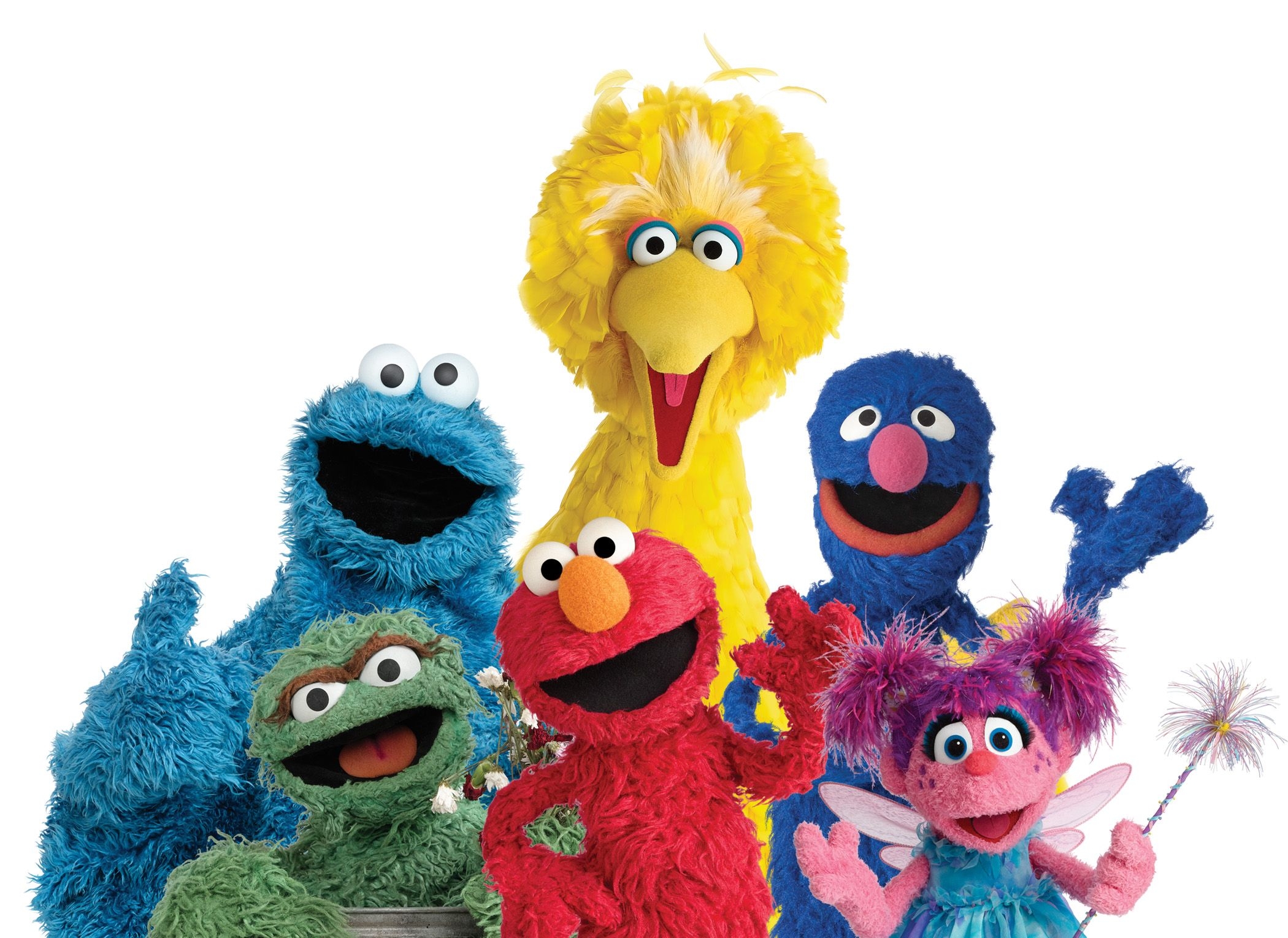 Sesame Street Characters Png - Sesame Street Characters Head To Personalized Book App, Transparent background PNG HD thumbnail