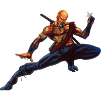 Shadow Warrior Png Image Png Image - Shadow Warrior, Transparent background PNG HD thumbnail