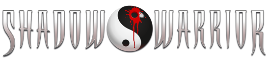 Shadow Warrior Png Image PNG 