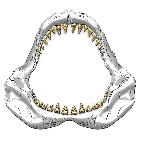 pin Head clipart shark #1