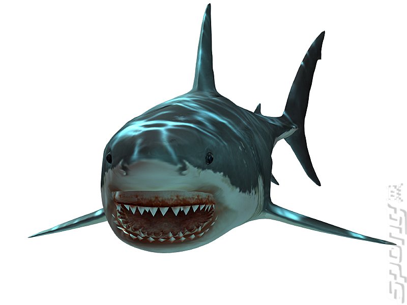 Great White Shark - Shark Jaws, Transparent background PNG HD thumbnail
