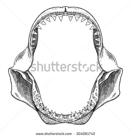 Great White Shark Jaws - Shark Jaws, Transparent background PNG HD thumbnail