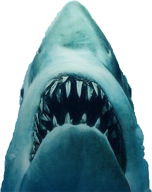 Verna Fields. - Shark Jaws, Transparent background PNG HD thumbnail