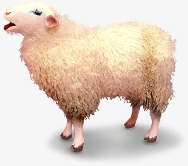Hand Painted Sheep, Sheep, Cartoon, Wool Png Image And Clipart - Sheep And Wool, Transparent background PNG HD thumbnail