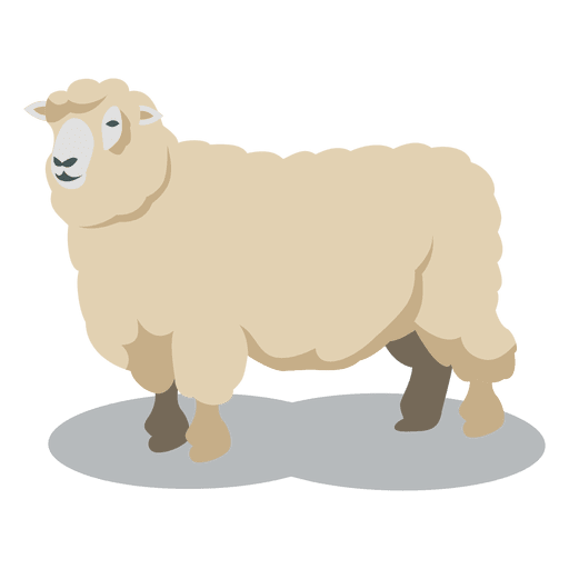 Sheep Wool Animal Transparent Png - Sheep And Wool, Transparent background PNG HD thumbnail