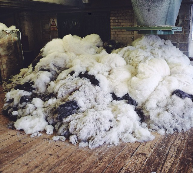Supply Of Hemsbury Wool Far Outweighed Demand And Tons Were Going To Waste. - Sheep And Wool, Transparent background PNG HD thumbnail