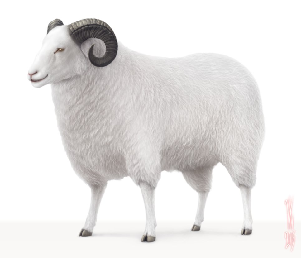 Sheep By Woodvile Hdpng.com  - Sheep, Transparent background PNG HD thumbnail