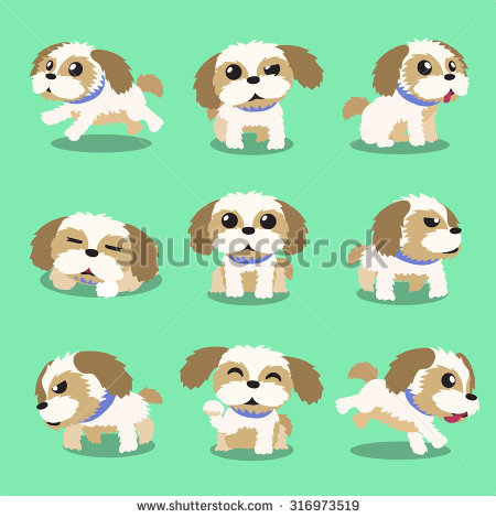Cartoon Character Shih Tzu Dog Poses - Shih Tzu, Transparent background PNG HD thumbnail