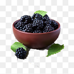 Shot Put Png Hd - Hd Free Blackberry Buckle Mulberries, Fruit, Mulberry, Blackberries Png And Psd, Transparent background PNG HD thumbnail