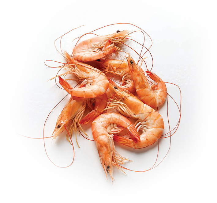 Shrimp - Shrimp, Transparent background PNG HD thumbnail