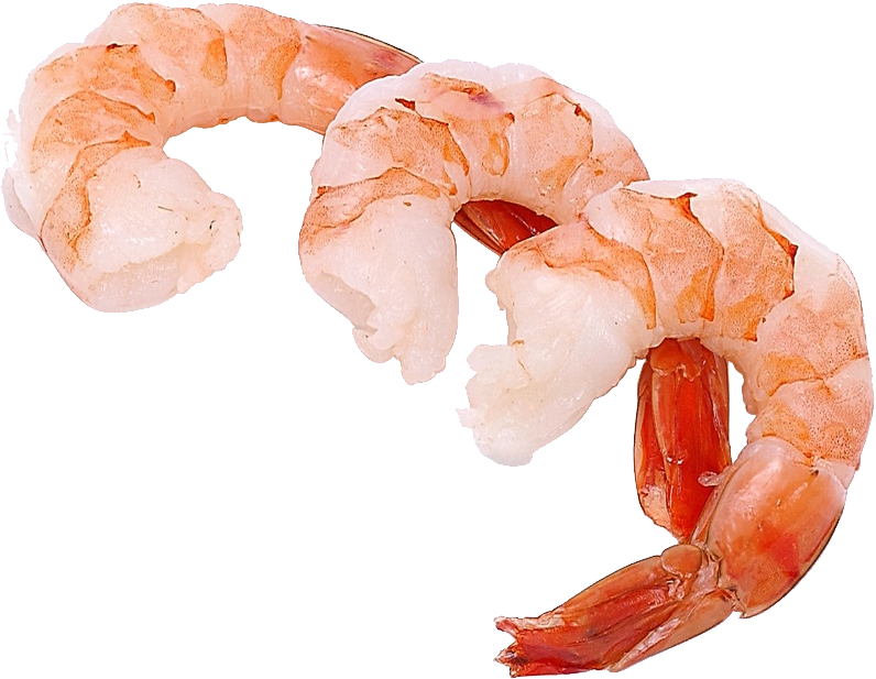 Shrimps Png - Shrimp, Transparent background PNG HD thumbnail