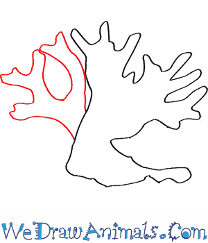 300X350 How To Draw A Fire Coral - Simple Coral Reef, Transparent background PNG HD thumbnail