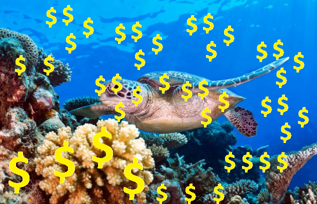Simple Coral Reef Png - Coral U003D $$$ (£££). Hdpng.com Itu0027S Simple., Transparent background PNG HD thumbnail
