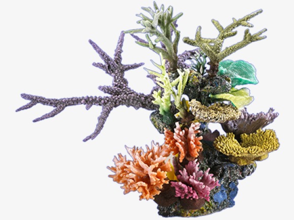 Coral, Reefs, Deep Sea Plants Png Image And Clipart - Simple Coral Reef, Transparent background PNG HD thumbnail
