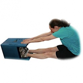 Baseline® Standard Sit And Reach Trunk Flexibility Test - Sit And Reach, Transparent background PNG HD thumbnail