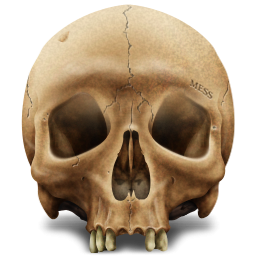 Skull PNG Transparent Image