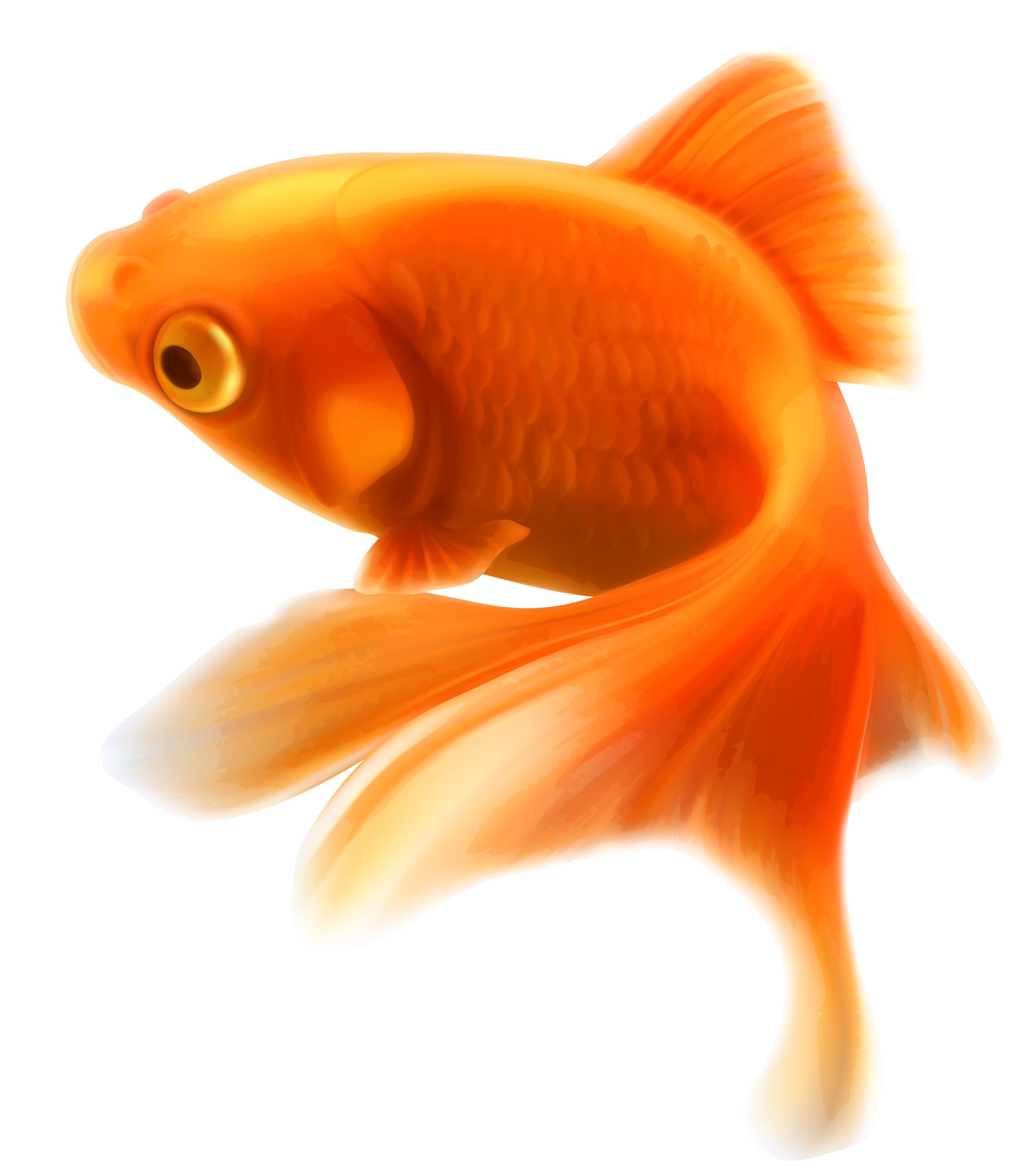 Fish Png Image With Transparent Background - Small Fish, Transparent background PNG HD thumbnail