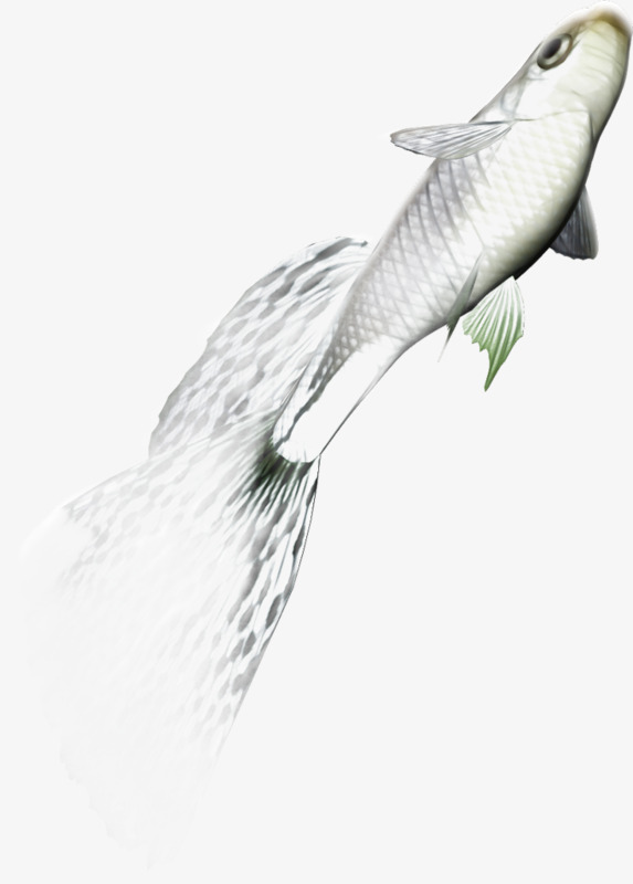 Jumping Fish, Hand Painted, Small Fish, Jump Png Image And Clipart - Small Fish, Transparent background PNG HD thumbnail