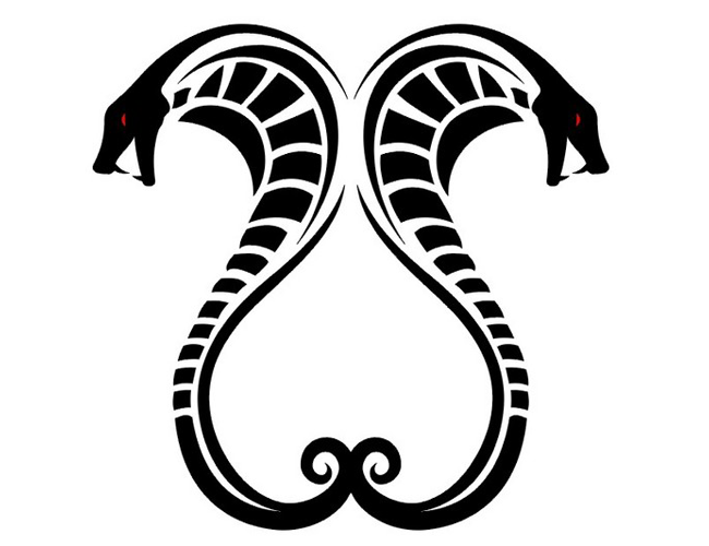 Snake Tattoo Png - Snake Tattoo Very Special Animal Styles That Represents 106187.png, Transparent background PNG HD thumbnail