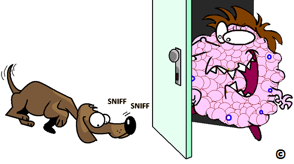 Dog Sniffing Out Cancer - Sniff, Transparent background PNG HD thumbnail
