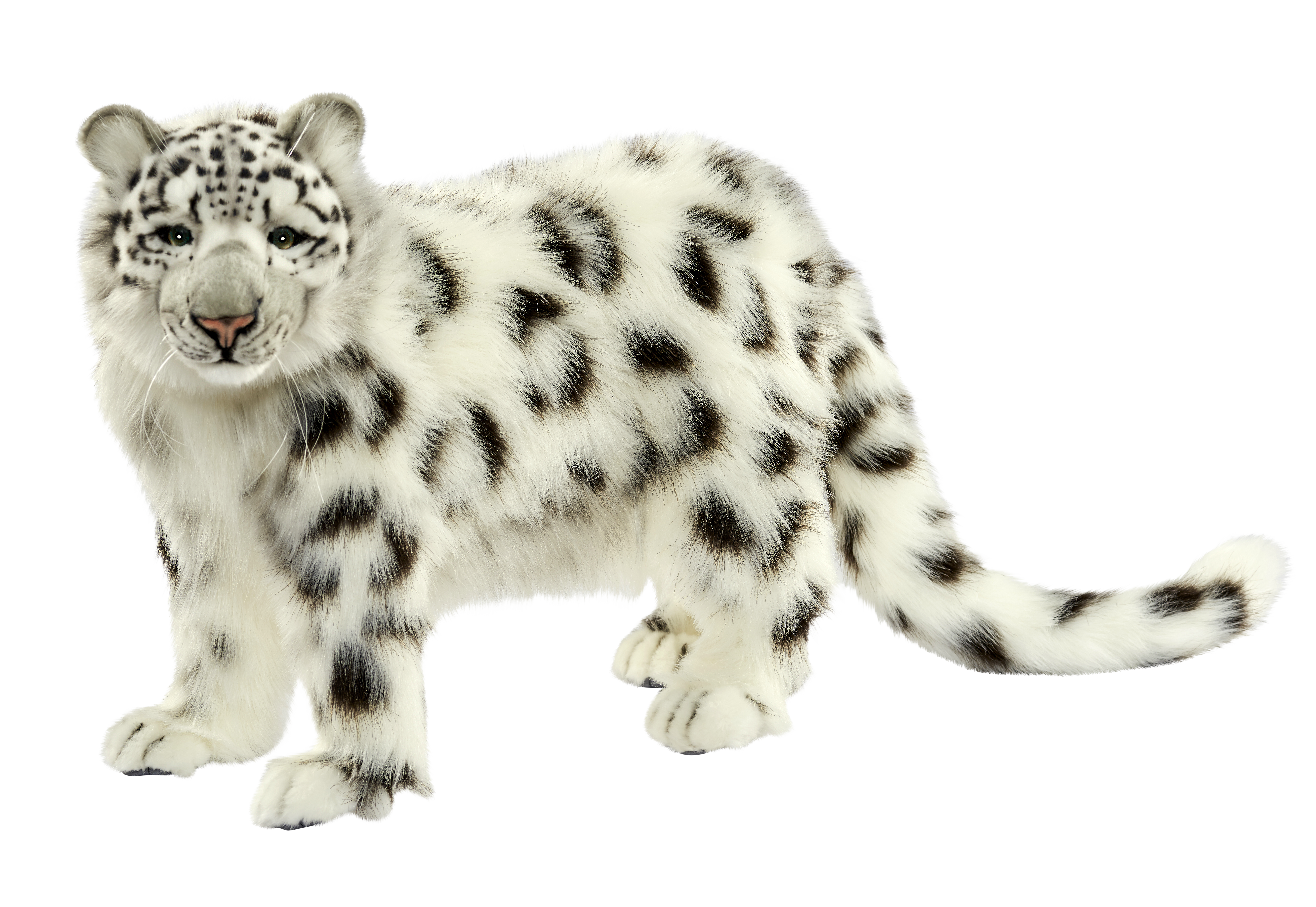 Hansa Creation Inc. | Snow Leopard Standing 56 Cm.l - Snow Leopard, Transparent background PNG HD thumbnail