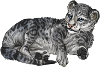 Item Snow Leopard Cub.png - Snow Leopard, Transparent background PNG HD thumbnail