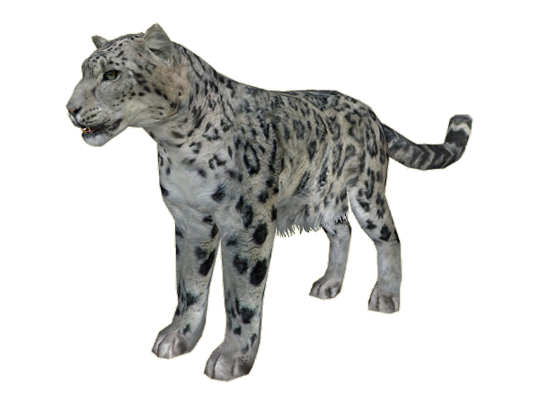 Snowleopard Ludozoo - Snow Leopard, Transparent background PNG HD thumbnail