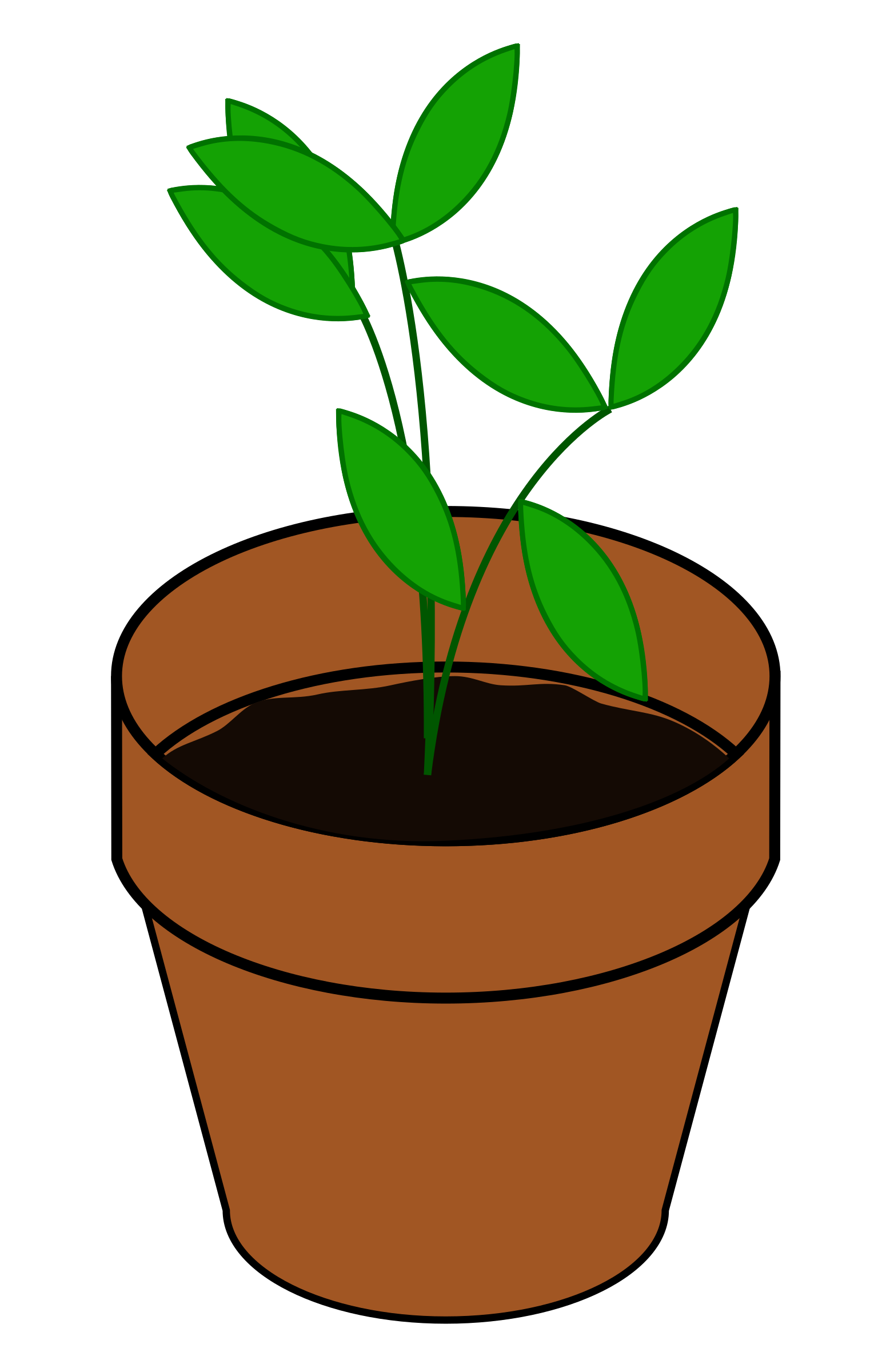 Big Image (Png) - Soil In A Pot, Transparent background PNG HD thumbnail