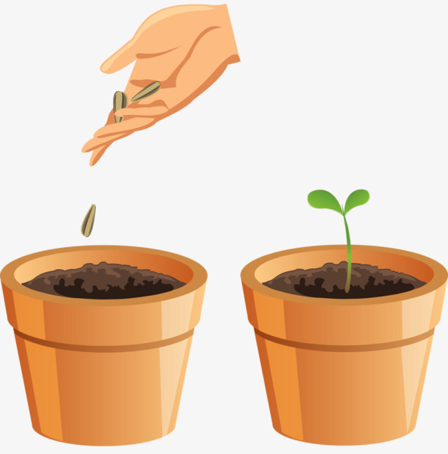 Budding Grass, Flower Pot, Grass, Soil Png Image And Clipart - Soil In A Pot, Transparent background PNG HD thumbnail