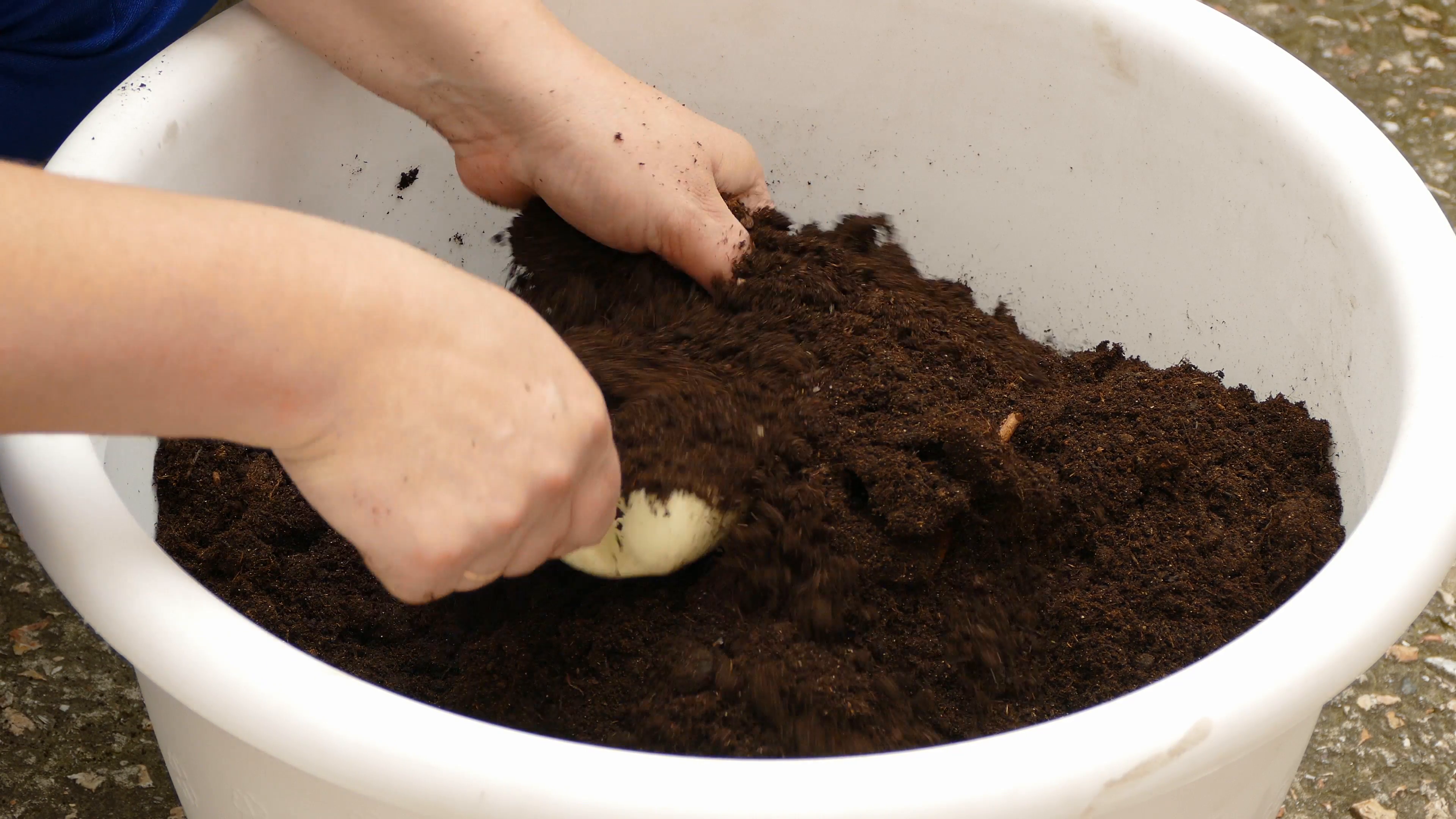 Hands Of A Housewife Mixing Organic Soil In Big White Flowerpot With Small Trowel Preparing It For Domestic Flowers Planting Stock Video Footage   Hdpng.com  - Soil In A Pot, Transparent background PNG HD thumbnail