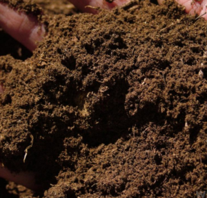 Peat Moss Soil Mix For Growing Cannabis - Soil In A Pot, Transparent background PNG HD thumbnail