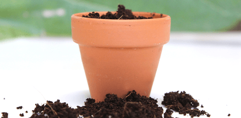 Potting Soil In Green Favours - Soil In A Pot, Transparent background PNG HD thumbnail