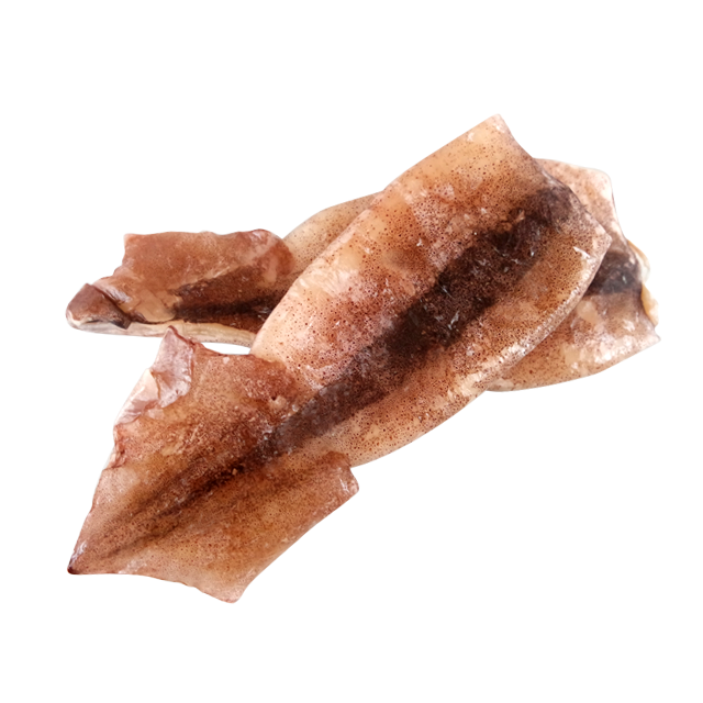 Sotong (Squid Japanese) 1Kg - Sotong, Transparent background PNG HD thumbnail
