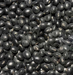 Black Soybean - Soybean Black And White, Transparent background PNG HD thumbnail