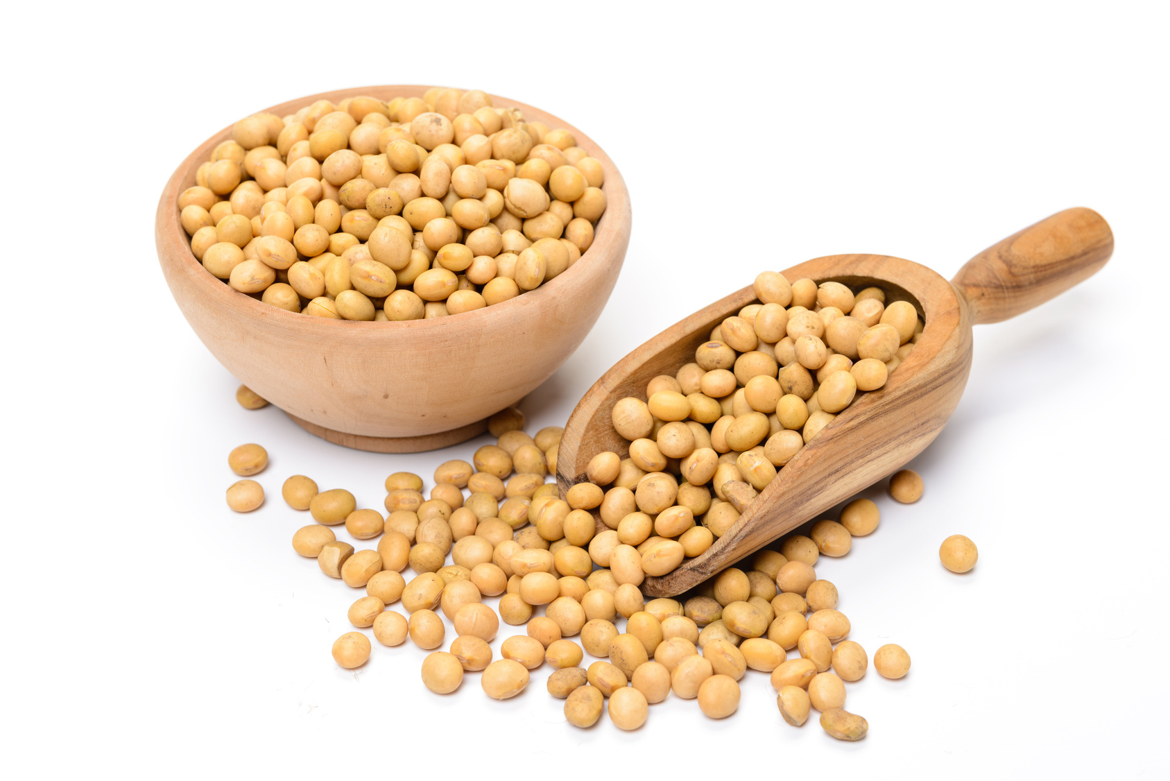 New Soybean Seed Varieties For 2017 - Soybean Seed, Transparent background PNG HD thumbnail
